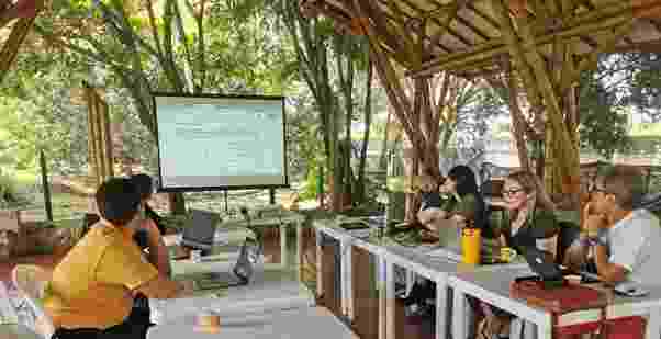 Hub colleagues sit at desks facing each other, with a large screen at the far end, under a beautiful, wooden outdoor awning space with trees on all sides.